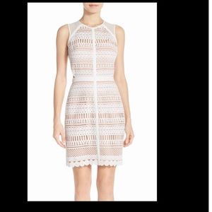 Chelsea 28 lace sheath dress